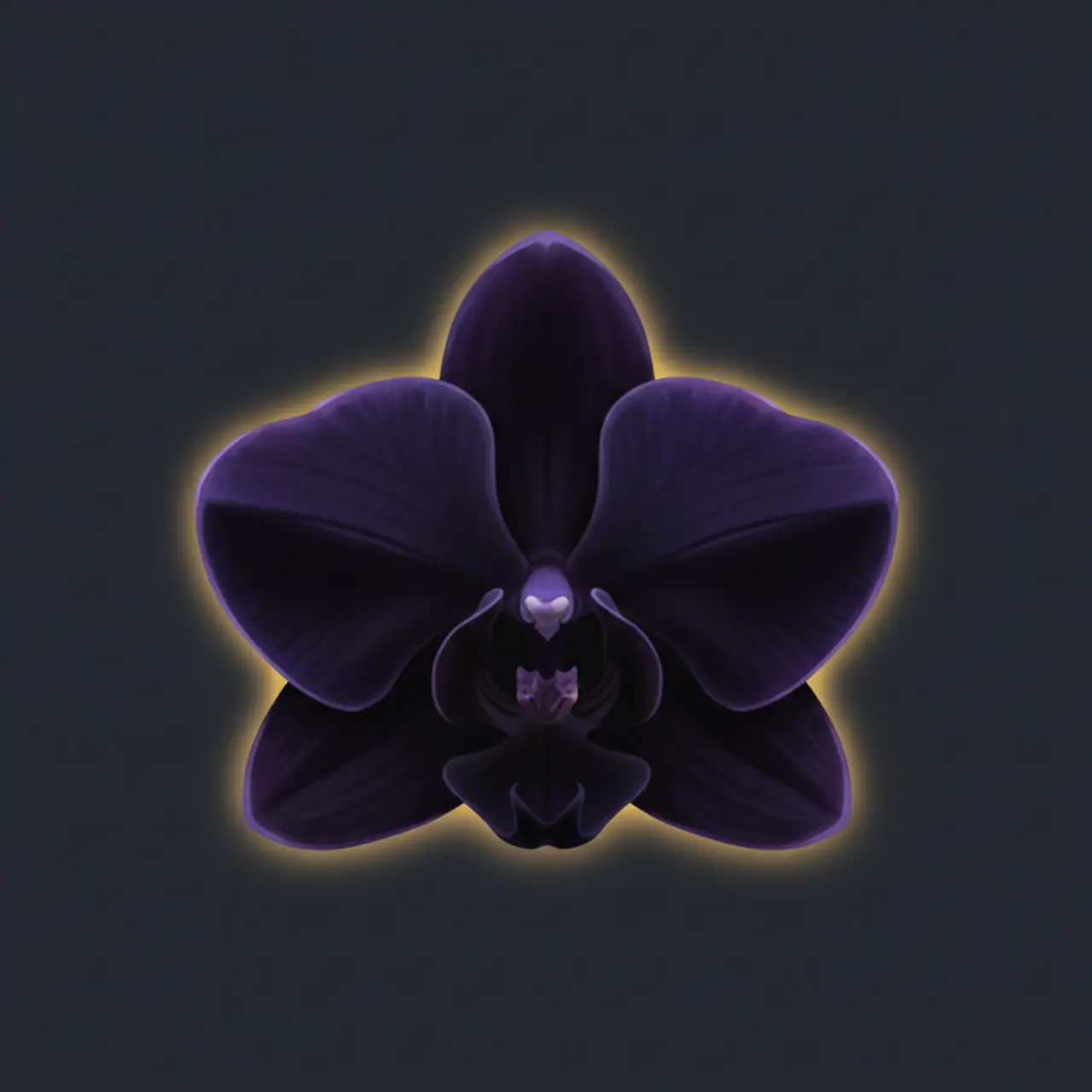 Symbol